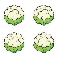 Cauliflower icon set vector