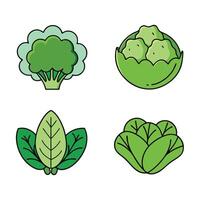 A set of four different vegetables, including broccoli, cabbage and lettuce vector