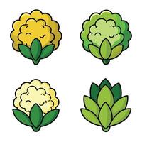 Cauliflower icon set illustration vector