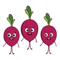 Three radishes are standing in a row vector