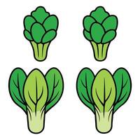 A set of four different types of green vegetables vector