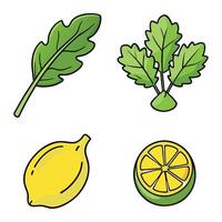 Lemon, kale, and parsley on a white background vector