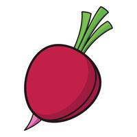 A red beet on a white background vector