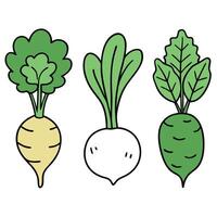 Three different vegetables with different colors vector