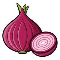 An onion and a half of it is shown vector
