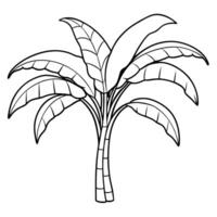 A palm tree with leaves and leaves coloring page vector