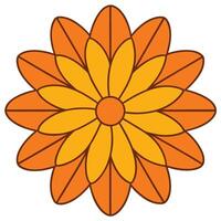 An orange flower with a white background vector