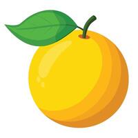 An orange with a leaf on it is shown vector