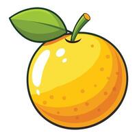 Orange fruit illustration vector