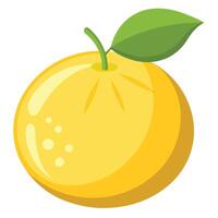 An orange with a leaf on it vector