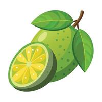 A lime with a slice and leaves on a white background vector