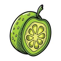 A green fruit with a slice cut out of it vector