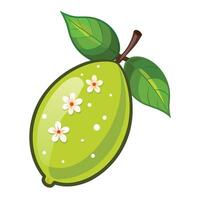 A green mango with flowers on it vector