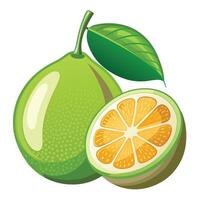 An orange and a half of a lime vector