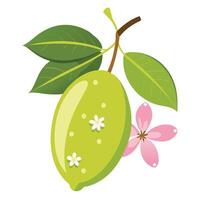 An illustration of a mango with flowers vector