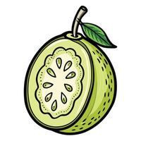 A green guava fruit with a slice cut out of it vector