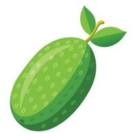 A green fruit with leaves on it vector