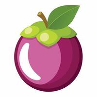 An illustration of a plum fruit with a green leaf vector