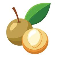 An apple and a nut are shown on a white background vector