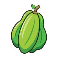 A green cocoa fruit with leaves on it vector
