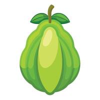 Cocoa fruit illustration isolated on white background vector
