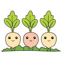 Three cute turnips with green leaves on a white background vector