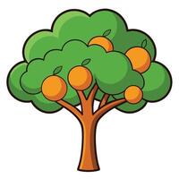 An orange tree with fruit on it vector