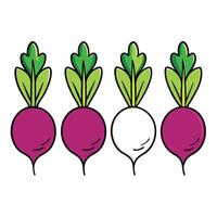 A beet is shown in four different colors vector