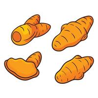 A set of four carrots, one of which is cut in half vector