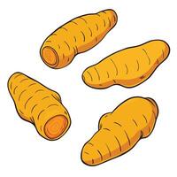 Carrots are shown in a cartoon style vector