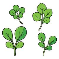 A set of four green leaves on a white background vector