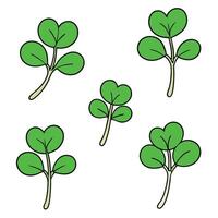 Four clover leaves in different positions on a white background vector
