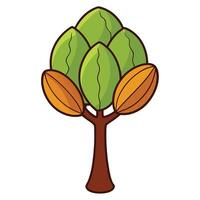 A tree with leaves and nuts on it vector