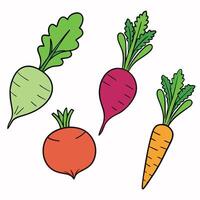 A set of vegetables with different colors and shapes vector
