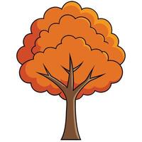 An orange tree with leaves on it vector