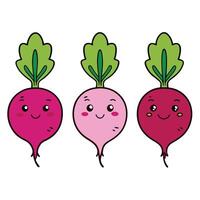 Three different types of radishes with different expressions vector
