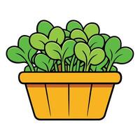 A basket full of green plants on a white background vector