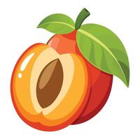 An orange fruit with leaves and a half eaten vector