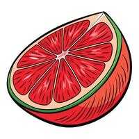 A grapefruit is shown in a cartoon style vector