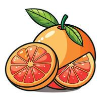 An orange and a half of an orange are shown vector