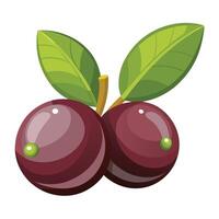 Two ripe cherries with leaves on a white background vector