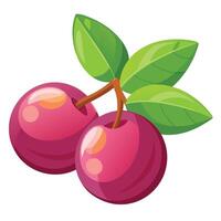 Two cherries with leaves on a white background vector