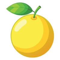 An orange with a leaf on it vector