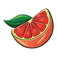 Grapefruit with green leaf illustration vector