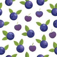 A pattern with blueberries and cherries vector