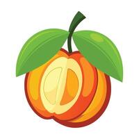 An orange fruit with a green leaf on it vector