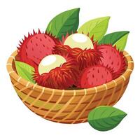 Rambutan fruit in basket illustration vector