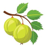 Green apple on branch with leaves illustration vector
