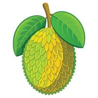 A durian fruit with leaves and a green stem vector