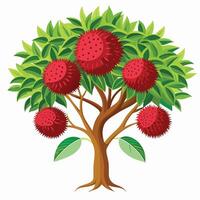A red fruit tree with leaves and fruit on it vector